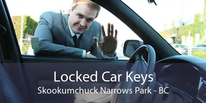 Locked Car Keys Skookumchuck Narrows Park - BC
