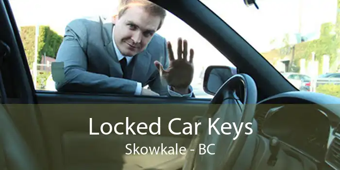 Locked Car Keys Skowkale - BC