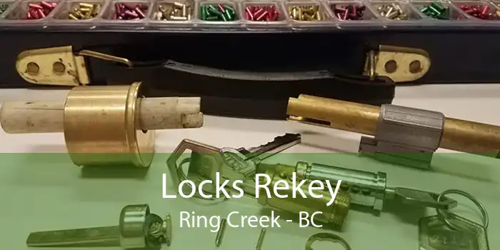 Locks Rekey Ring Creek - BC