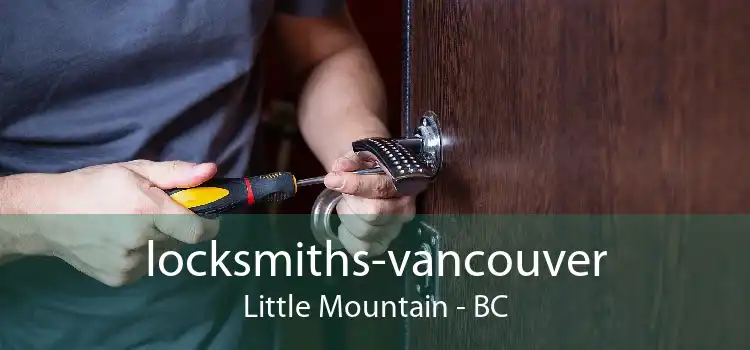 locksmiths-vancouver Little Mountain - BC