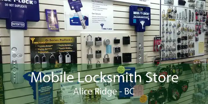 Mobile Locksmith Store Alice Ridge - BC