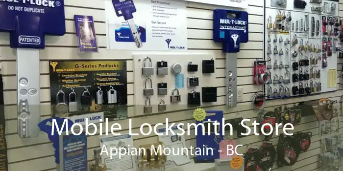 Mobile Locksmith Store Appian Mountain - BC
