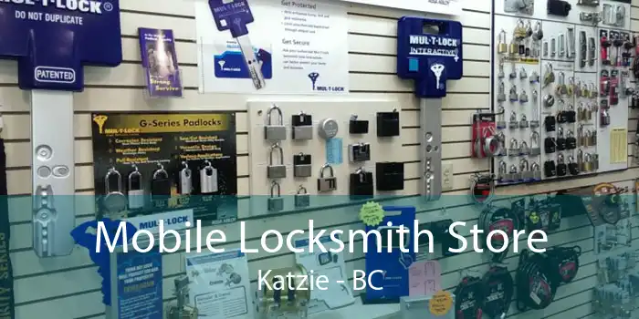 Mobile Locksmith Store Katzie - BC