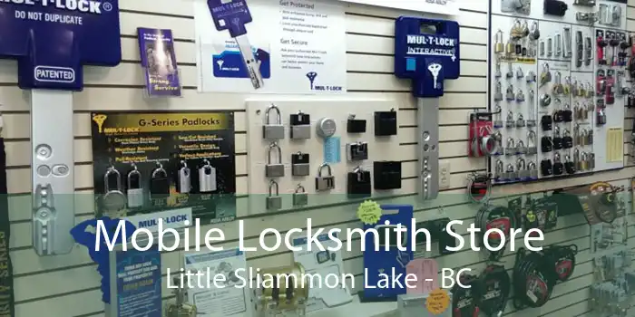 Mobile Locksmith Store Little Sliammon Lake - BC