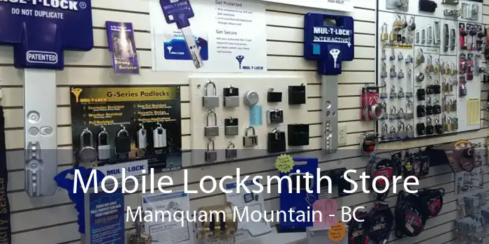Mobile Locksmith Store Mamquam Mountain - BC