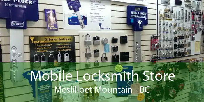 Mobile Locksmith Store Meslilloet Mountain - BC