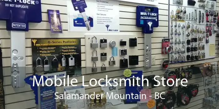 Mobile Locksmith Store Salamander Mountain - BC