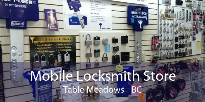 Mobile Locksmith Store Table Meadows - BC