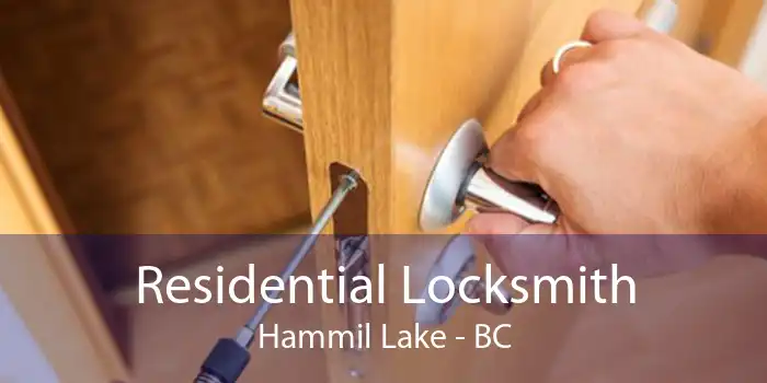 Residential Locksmith Hammil Lake - BC