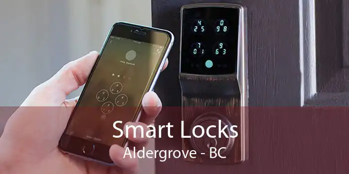 Smart Locks Aldergrove - BC