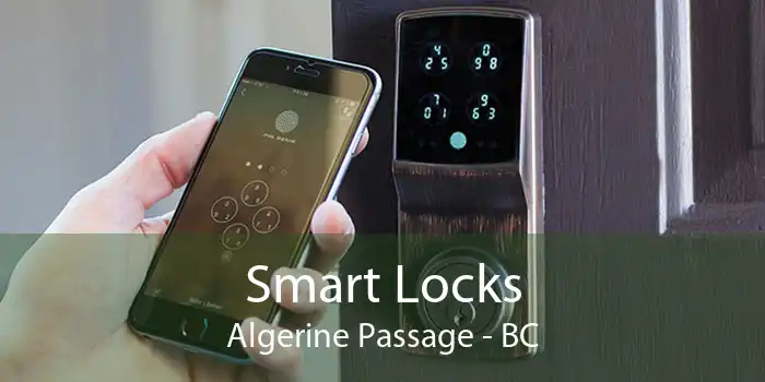 Smart Locks Algerine Passage - BC