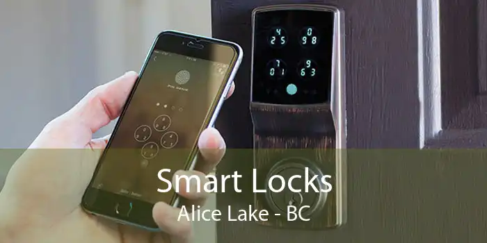 Smart Locks Alice Lake - BC