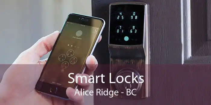 Smart Locks Alice Ridge - BC