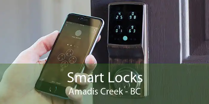 Smart Locks Amadis Creek - BC