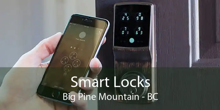 Smart Locks Big Pine Mountain - BC