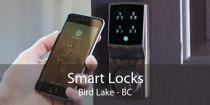 Smart Locks Bird Lake - BC