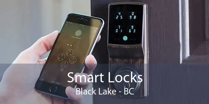 Smart Locks Black Lake - BC
