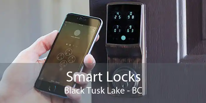 Smart Locks Black Tusk Lake - BC
