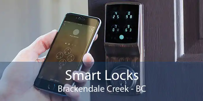 Smart Locks Brackendale Creek - BC