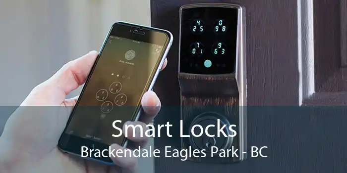 Smart Locks Brackendale Eagles Park - BC