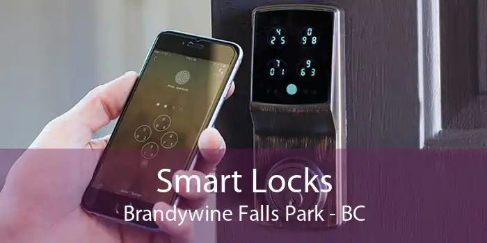 Smart Locks Brandywine Falls Park - BC
