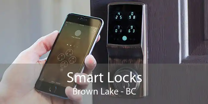 Smart Locks Brown Lake - BC