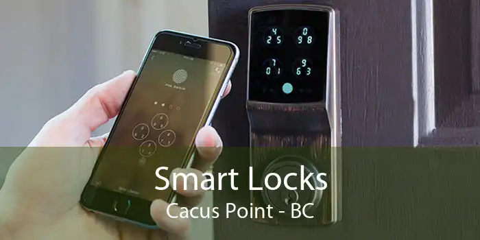 Smart Locks Cacus Point - BC
