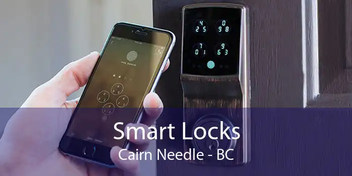 Smart Locks Cairn Needle - BC