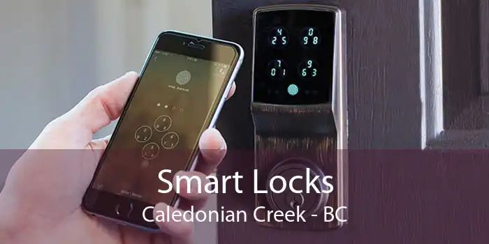 Smart Locks Caledonian Creek - BC