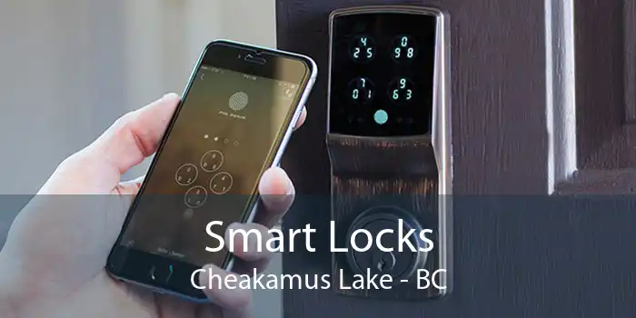 Smart Locks Cheakamus Lake - BC
