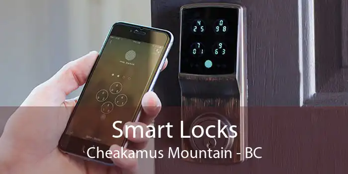 Smart Locks Cheakamus Mountain - BC