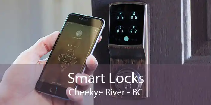 Smart Locks Cheekye River - BC