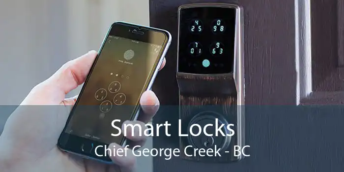 Smart Locks Chief George Creek - BC