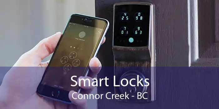 Smart Locks Connor Creek - BC