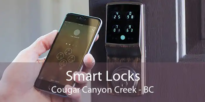 Smart Locks Cougar Canyon Creek - BC