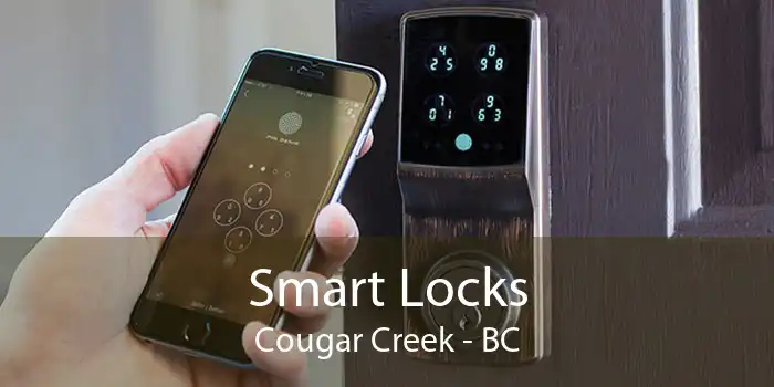 Smart Locks Cougar Creek - BC