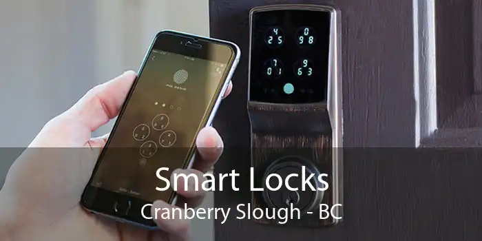 Smart Locks Cranberry Slough - BC