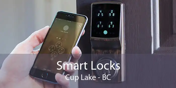 Smart Locks Cup Lake - BC