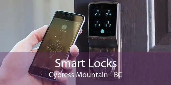 Smart Locks Cypress Mountain - BC