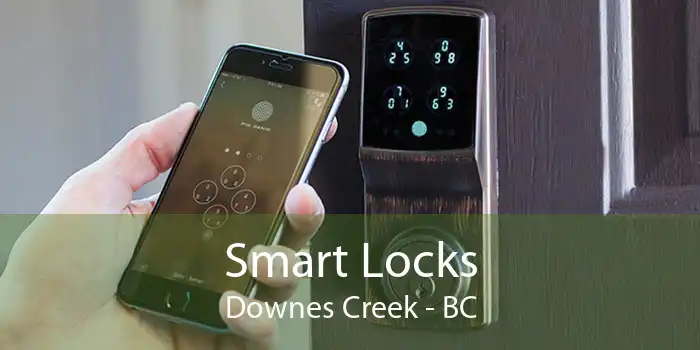 Smart Locks Downes Creek - BC