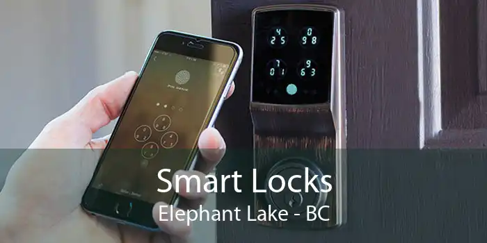 Smart Locks Elephant Lake - BC
