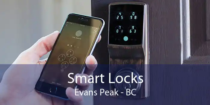 Smart Locks Evans Peak - BC
