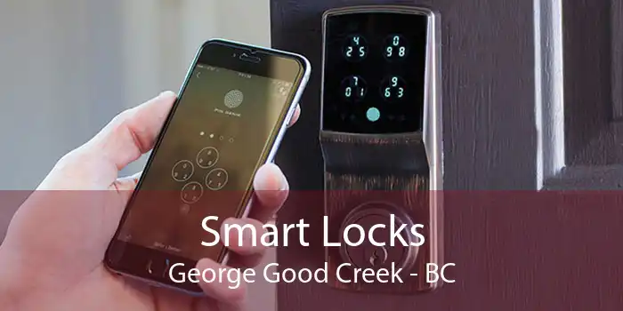 Smart Locks George Good Creek - BC
