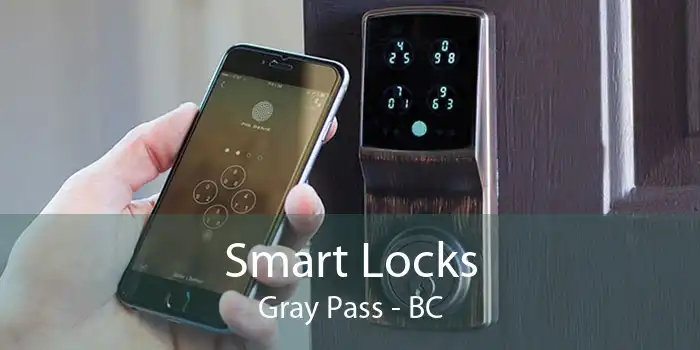 Smart Locks Gray Pass - BC