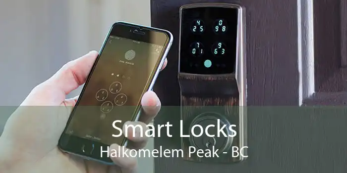 Smart Locks Halkomelem Peak - BC