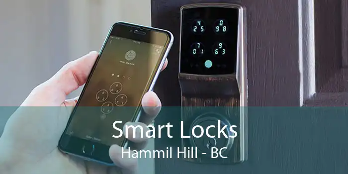 Smart Locks Hammil Hill - BC
