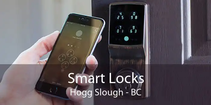 Smart Locks Hogg Slough - BC