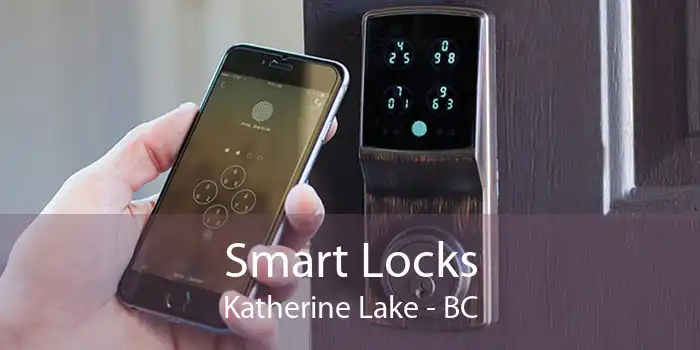 Smart Locks Katherine Lake - BC