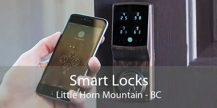 Smart Locks Little Horn Mountain - BC