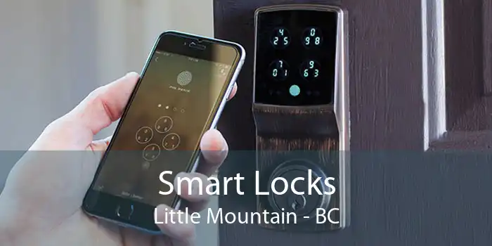 Smart Locks Little Mountain - BC